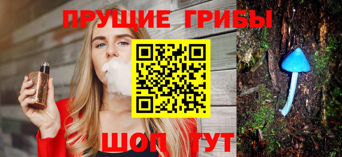 Галлюциногенные грибы Psilocybe Урус-Мартан