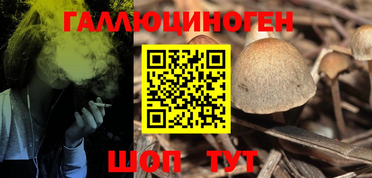 Галлюциногенные грибы Psilocybine cubensis  Вход с VPN  Урус-Мартан 